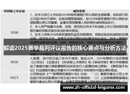 解读2025赛季裁判评议报告的核心要点与分析方法