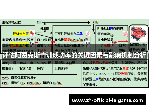评估阿贾克斯青训成功率的关键因素与影响机制分析