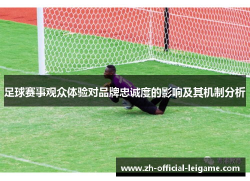 足球赛事观众体验对品牌忠诚度的影响及其机制分析 足球赛事观众体验对品牌忠诚度的影响及其机制分析