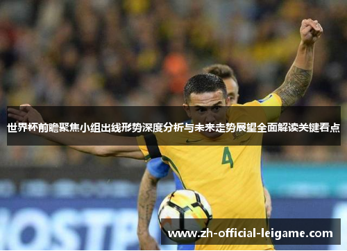 世界杯前瞻聚焦小组出线形势深度分析与未来走势展望全面解读关键看点